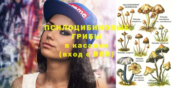 трава Богородицк