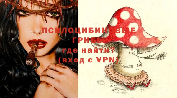 таблы Богданович
